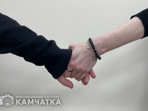 Медики Камчатки рассказали, что такое междолжностное сотрудничество
