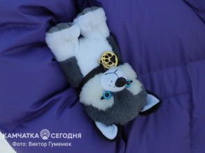 Шаттлы будут курсировать до места проведения камчатского фестиваля «Снежный путь»