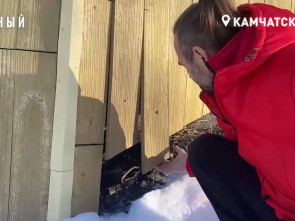 Смотровая площадка на Петровской сопке снова не прошла проверку на качество и стойкость
