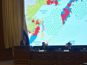 Загадочные лососи: учёные анализируют причины снижения уловов на Камчатке