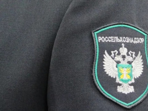 С Камчатки экспортировано 14 тысяч тонн рыбы и кормовой муки