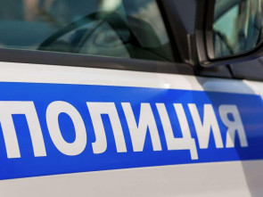 На Камчатке полиция изъяла крупную партию мефедрона