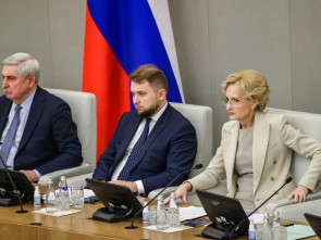 Ирина Яровая: закон о конфискации имущества за преступления против безопасности РФ предупредит подобные преступления