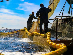 Дальневосточные рыбаки отметили рекордный вылов лосося