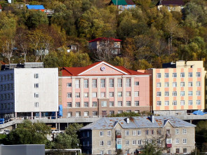«Штаб общественной поддержки» открывается в Петропавловске-Камчатском