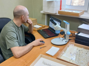 Научные исследования заповедников &laquo;Кроноцкий&raquo; и &laquo;Заповедная Мордовия&raquo;: сотрудничество на благо природы 0