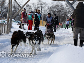 Гонка на собачьих упряжках «Хальч Тхсаном» прошла на Камчатке
