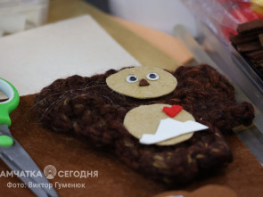 Камчатским ветеранам помогают вернуться к повседневной жизни