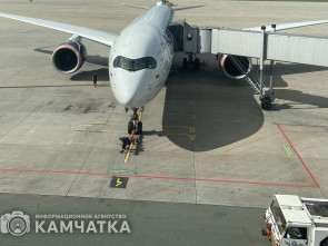 Камчатцы могут сдать или обменять авиабилеты из-за теракта в Москве