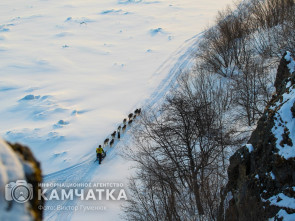 Камчатских каюров покажут в кино