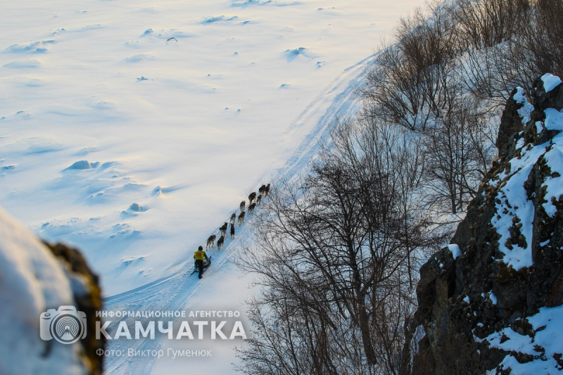 Камчатских каюров покажут в кино