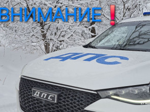 ГИБДД Камчатки объяснила, почему на Госуслуги приходят «чужие» штрафы