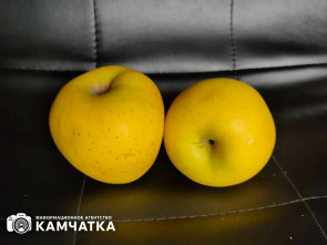 Годовая инфляция в Камчатском крае ускорилась и составила 8,6 %
