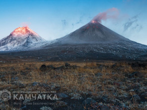 На Камчатке туристов, пострадавших от камнепада, эвакуировали с Ключевской сопки