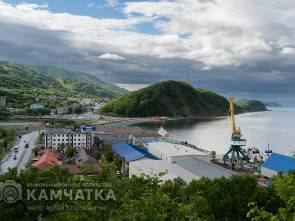 На Камчатке День вулкана пройдет в новом формате