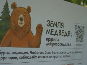 На Камчатке заложили первый камень центра помощи медведям