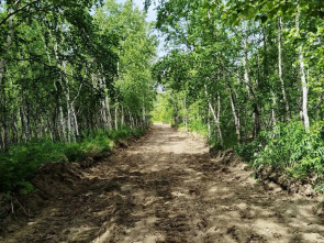 На Камчатке готовят 55 километров лесных дорог противопожарного назначения