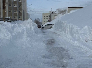 В столице Камчатки устраняют последствия снежного циклона 5