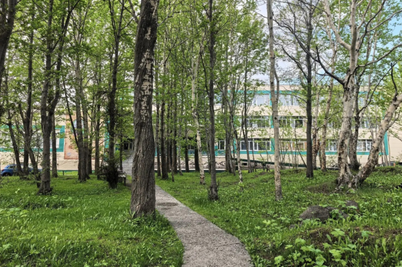 Сквер на улице Тушканова в камчатской столице станет комфортным общественным пространством