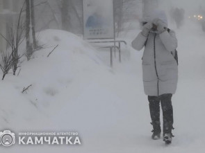 На Камчатке ожидается сильный порывистый ветер