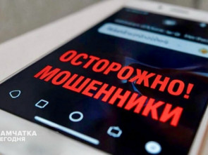 Мошенники обманули жительницу Елизовского района на 133 тысячи рублей