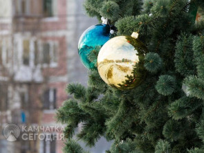 Новогодние елки откроются сегодня на четырех площадках столицы Камчатки