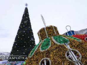 Жители Камчатки могут осуществить детские новогодние мечты