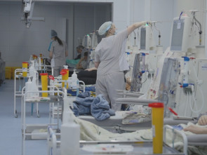 Для пациентов отделения гемодиализа камчатской краевой больница организовано такси
