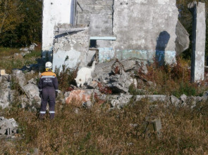 Кинолог-спасатель Анна ЕЧЕВСКАЯ: &laquo;Спасаю жизни вместе со своими верными друзьями&raquo; 26