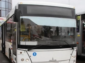 Автобусный маршрут свяжет Елизово и новый терминал аэропорта